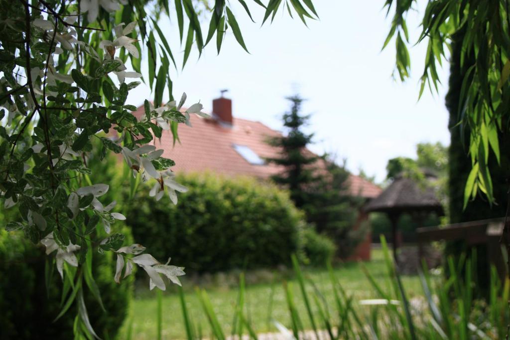 Landhotel Zur Schmiede เกอห์เรน-เลบบิน ภายนอก รูปภาพ